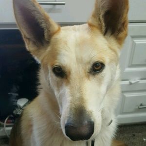 Meet your Posher, Gabrielle